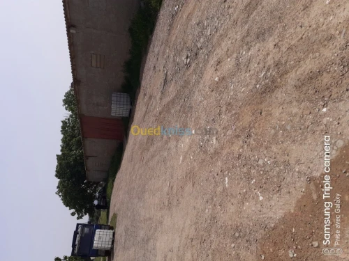 Location Hangar Boumerdes Larbatache