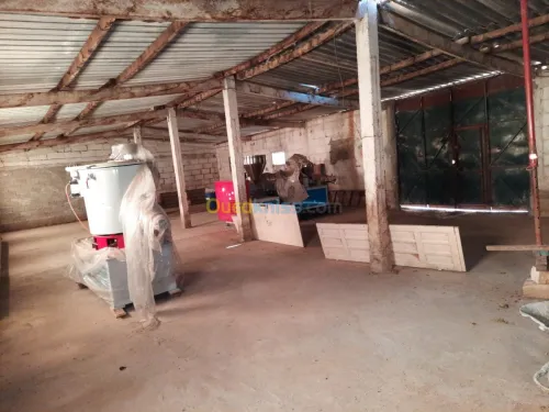 Location Hangar Boumerdes Larbatache