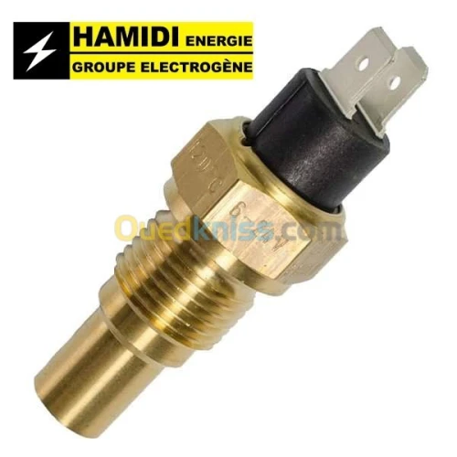 Regulateur de vitesse groupe electroge