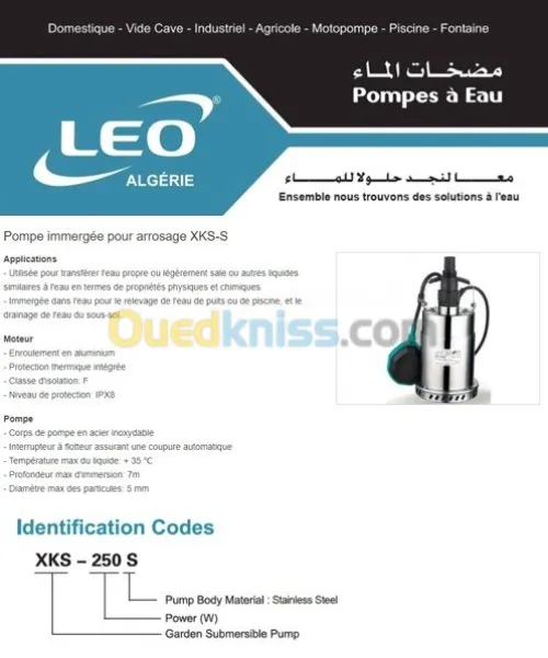 Pompe submersible pour arrosage - LEO