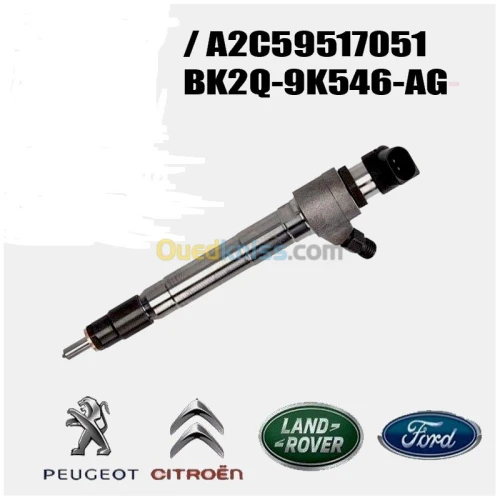 Réparation Pompe HP & Injecteur2.2 HDI