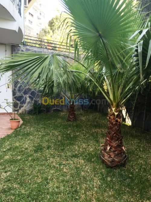 Location Appartement F3 Alger El biar