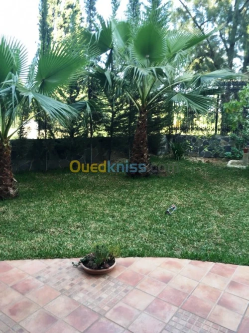 Location Appartement F3 Alger El biar