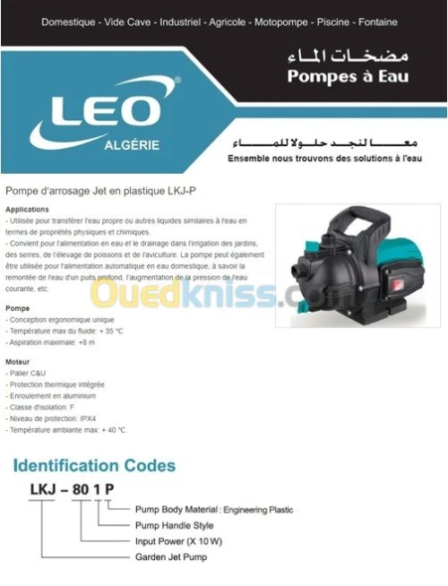 Pompe d'arrosage Jet en acier LEO