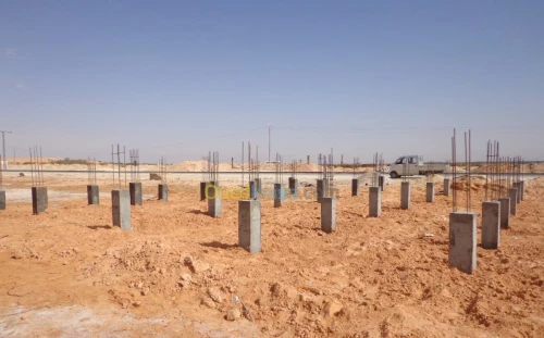 Vente Terrain Ouargla Ouargla