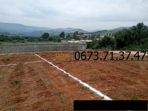 Vente Terrain Boumerdes Bouzegza keddara