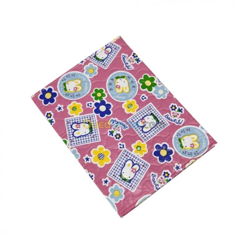 protège carnet de santé 