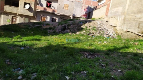 Vente Terrain Constantine Constantine