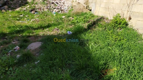 Vente Terrain Constantine Constantine