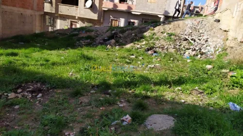 Vente Terrain Constantine Constantine