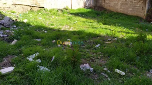Vente Terrain Constantine Constantine