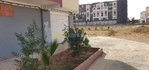 Vente Local Tiaret Sougueur