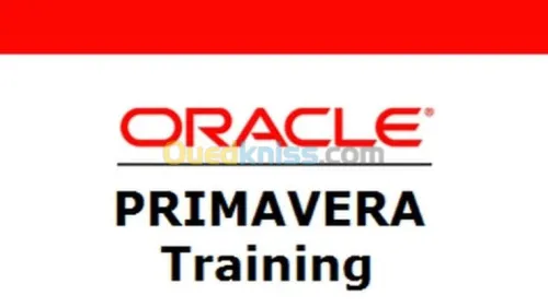 Formation Primavera P6 -visio-conférence / Session week-end