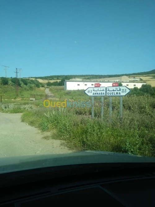 Vente Terrain Agricole Guelma Nechmaya