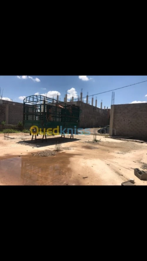 Vente Terrain Ain temouchent Ain temouchent