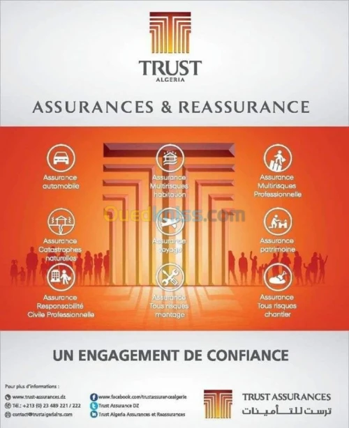 assurance tout branche