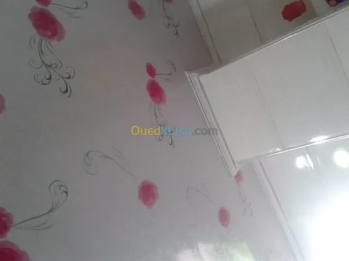   B13     . Bvc    vaiens 