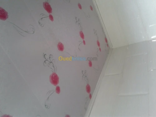   B13     . Bvc    vaiens 