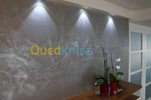  travaux peinture murale