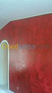  travaux peinture murale