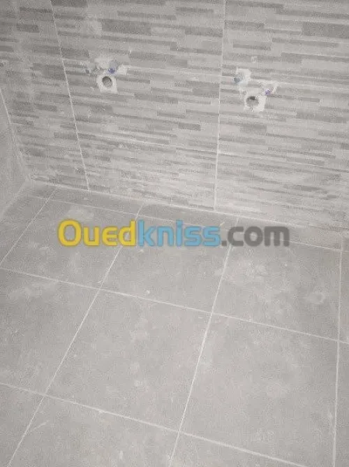  travaux peinture murale