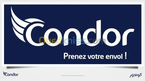 PROMO CONGELATEUR CONDOR 10 ANS DE GARANTIE INVERTER 130L BRUT NET 105L 
