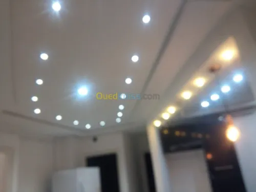 Décoration de plafond et faux plafond