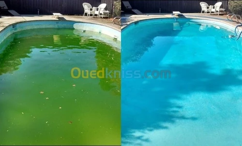 Astralpool - Chlore rapide "Choc" 