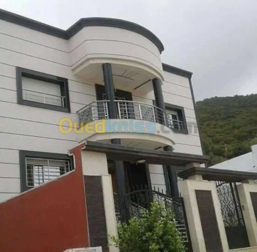 Revêtement des façades monocouche 