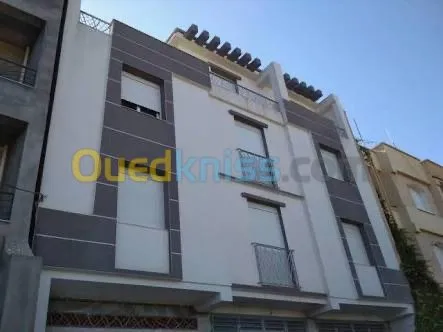 Revêtement des façades monocouche 