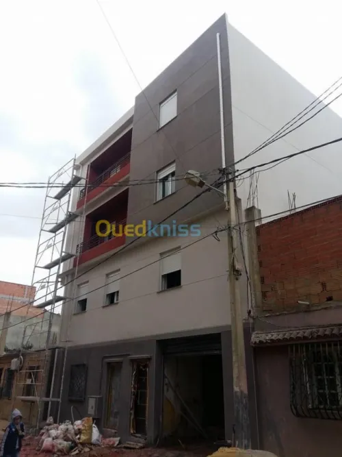 Revêtement des façades monocouche 