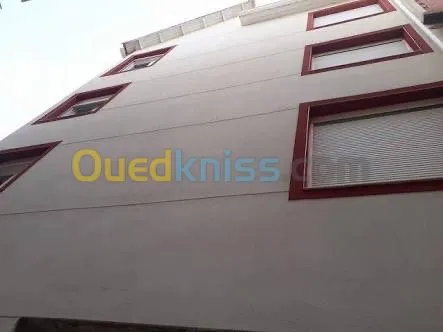 Revêtement des façades monocouche 