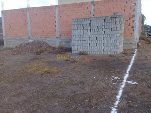 Vente Terrain Ain temouchent Oulhaca el gheraba