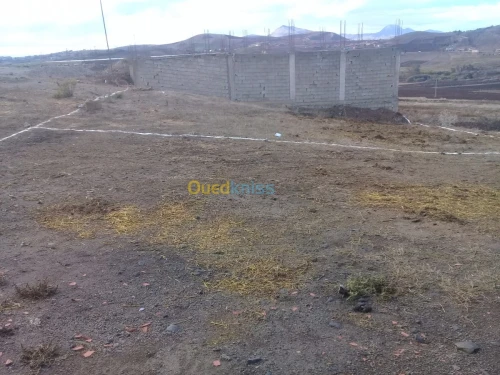 Vente Terrain Ain temouchent Oulhaca el gheraba