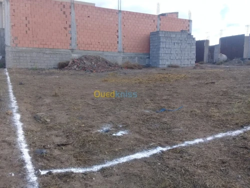 Vente Terrain Ain temouchent Oulhaca el gheraba