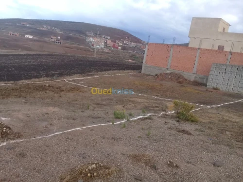 Vente Terrain Ain temouchent Oulhaca el gheraba