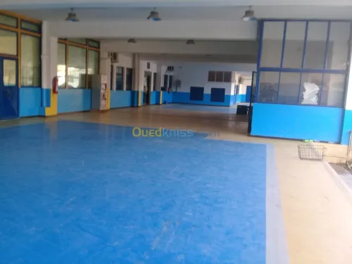 Peinture sole hypoxie 