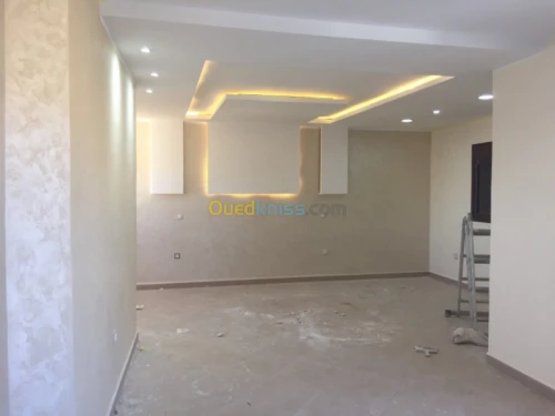 صباغة المباني (داخلي خارجي)