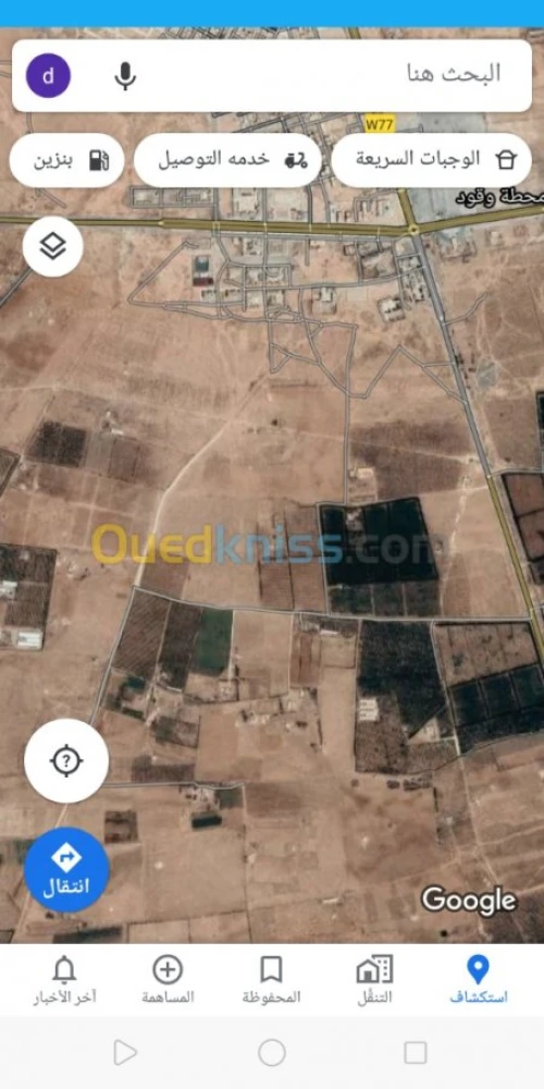 Vente Terrain Djelfa Hassi fedoul