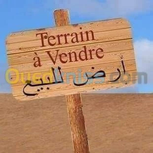 Vente Terrain Djelfa Hassi fedoul