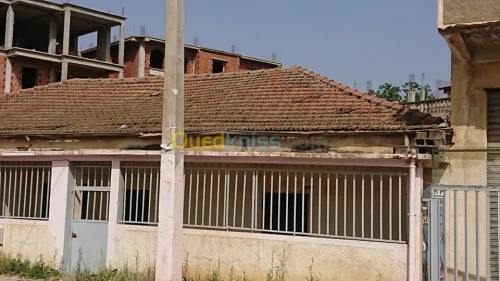 Vente Villa Alger Rouiba