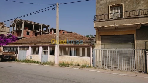 Vente Villa Alger Rouiba