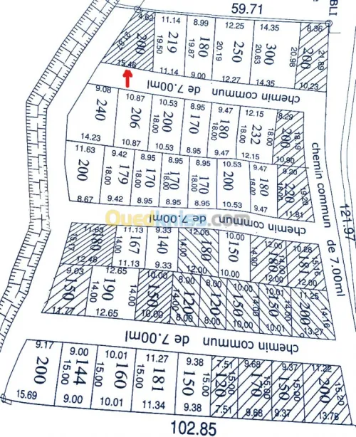 Vente Terrain Blida Chebli