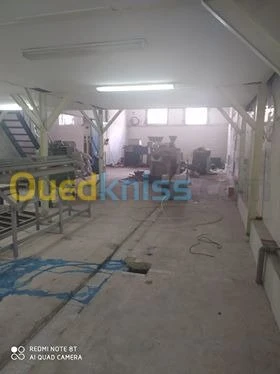 Location Local Blida Blida