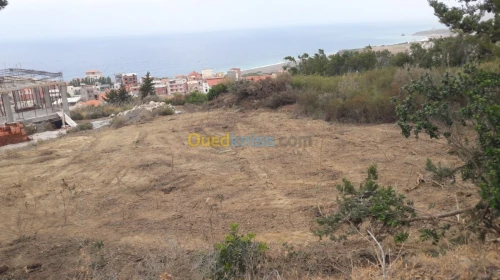 Vente Terrain Bejaia Beni ksila