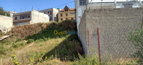 Vente Terrain Constantine Constantine