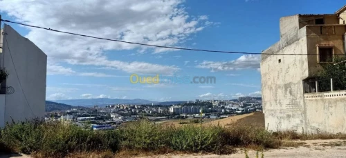 Vente Terrain Constantine Constantine