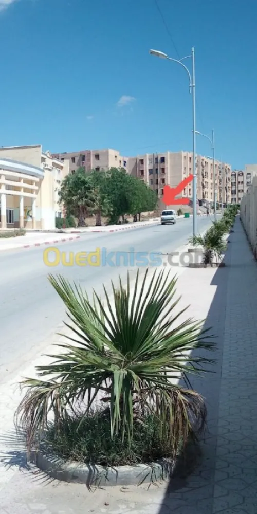 Vente Local Mila Oued seguen
