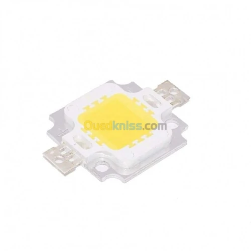 LED 10W blanc /blanc chaud /rouge /ver