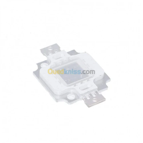 LED 10W blanc /blanc chaud /rouge /ver